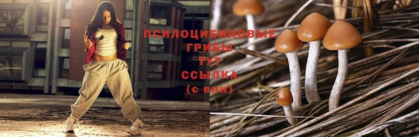 эйфоретик Богородск