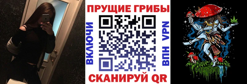 Галлюциногенные грибы GOLDEN TEACHER  Няндома 