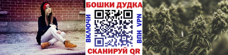 хочу наркоту  Няндома  Каннабис индика 